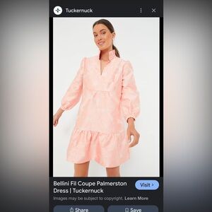 Tuckernuck Bellini fil coupe dress size Medium